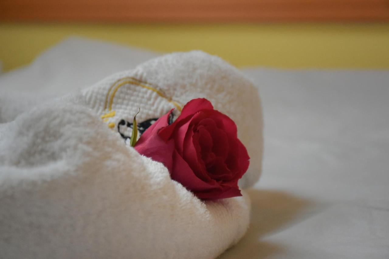 Hotel Lupus Novi Sad Eksteriør billede