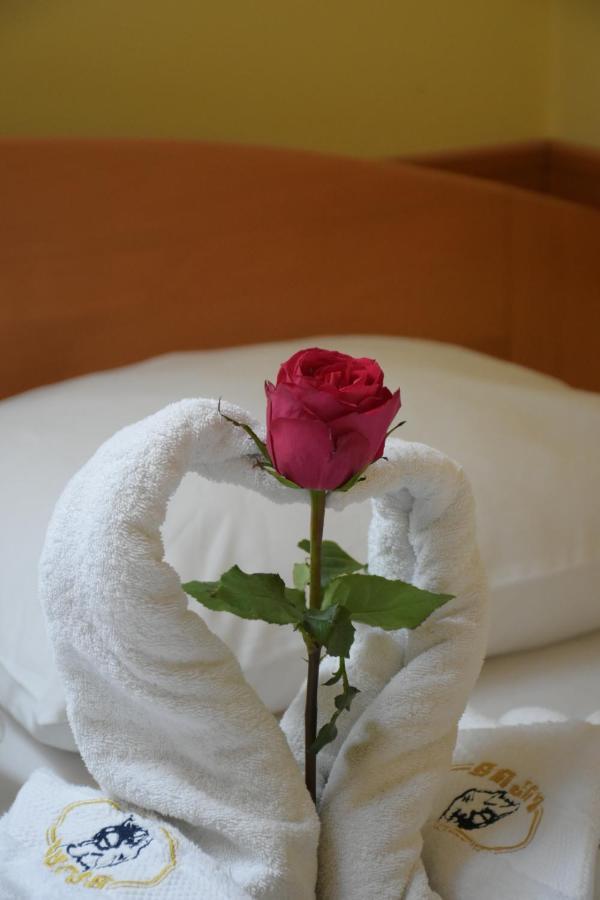 Hotel Lupus Novi Sad Eksteriør billede